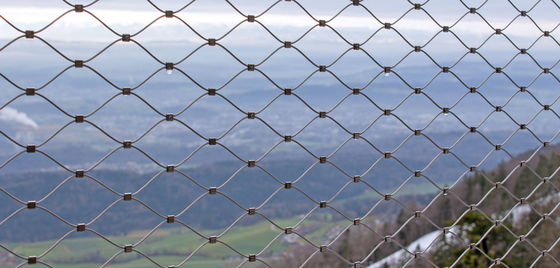 تخصيص مكافحة السقوط من الفولاذ المقاوم للصدأ شبكة الحبل الحديدية شبكة الوقاية من الأمان للضوء