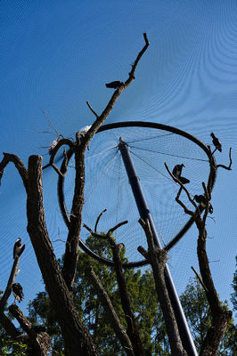 شبكة كابل سلكية من الفولاذ المقاوم للصدأ منسوجة يدويًا للزينة بقطر سلك 1.5 مم/2 مم/2.5 مم وفتحة شبكية 25*25 مم/30*30 مم/50*50 مم لشبكات الطيور وشبكات حدائق الحيوان