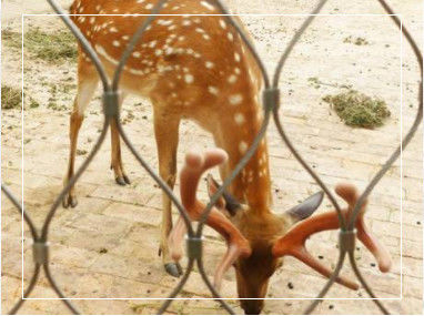 شبكة حبل من الفولاذ المقاوم للصدأ المرنة المنسوجة يدوياً بأبعاد حدودية قابلة للتخصيص للشريط والحديقة الحيوانية