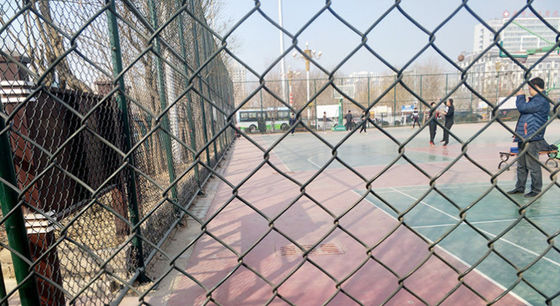 سياج شبكي مجلفن 4.8 ملم، لفة 50 متر، شبكة ماسية