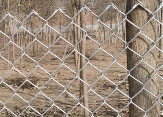 سياج شبكي مجلفن 4.8 ملم، لفة 50 متر، شبكة ماسية