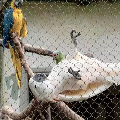شبكة حبل من الفولاذ المقاوم للصدأ مع شكل حفرة الماس مقاومة للأشعة فوق البنفسجية وضمان لمدة 10 سنوات لسور حديقة الحيوانات وصندوق الطيور